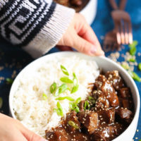 Instant Pot Korean Beef