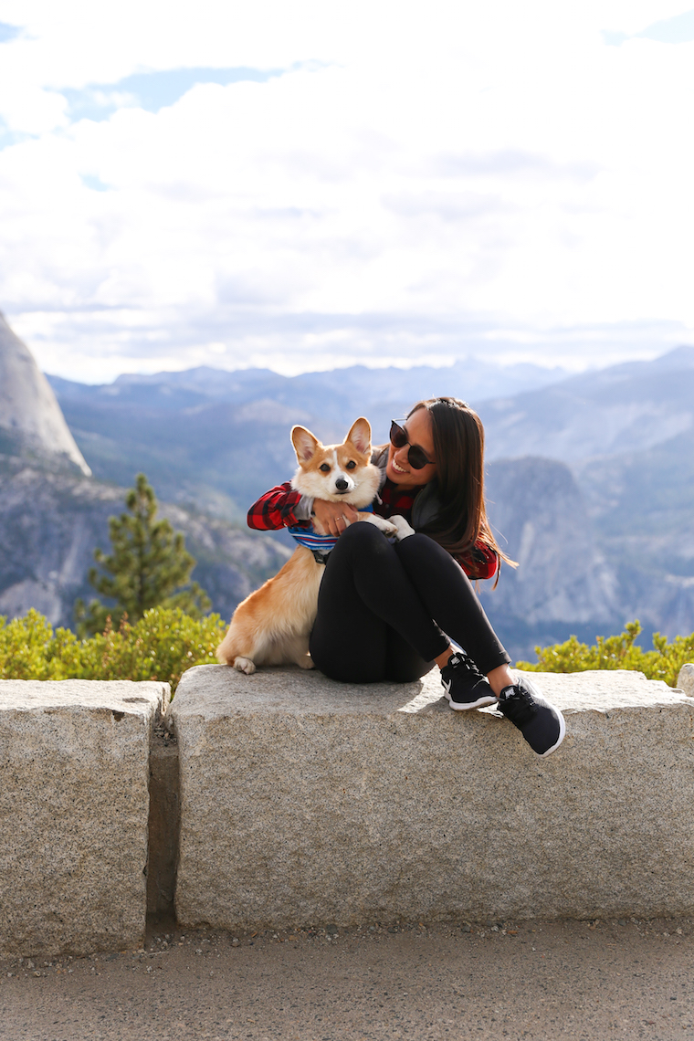 Traveling to Yosemite with a Dog - How to travel to Yosemite with your pets! Plus, some very helpful tips including dog-friendly trails at the park!