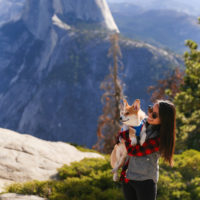 Traveling to Yosemite with a Dog